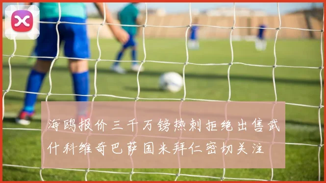 海鸥报价三千万镑热刺拒绝出售武什科维奇巴萨国米拜仁密切关注