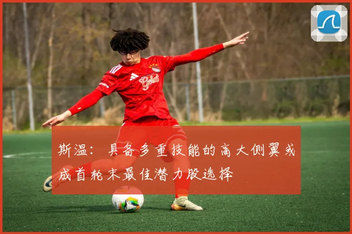 斯温：具备多重技能的高大侧翼或成首轮末最佳潜力股选择