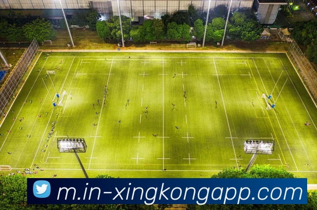 星空体育APP 封面图